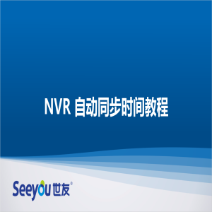 世友 NT NVR自動同步時間教程