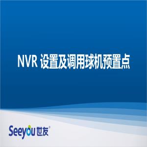 世友 NT NVR設置及調用球機預置點