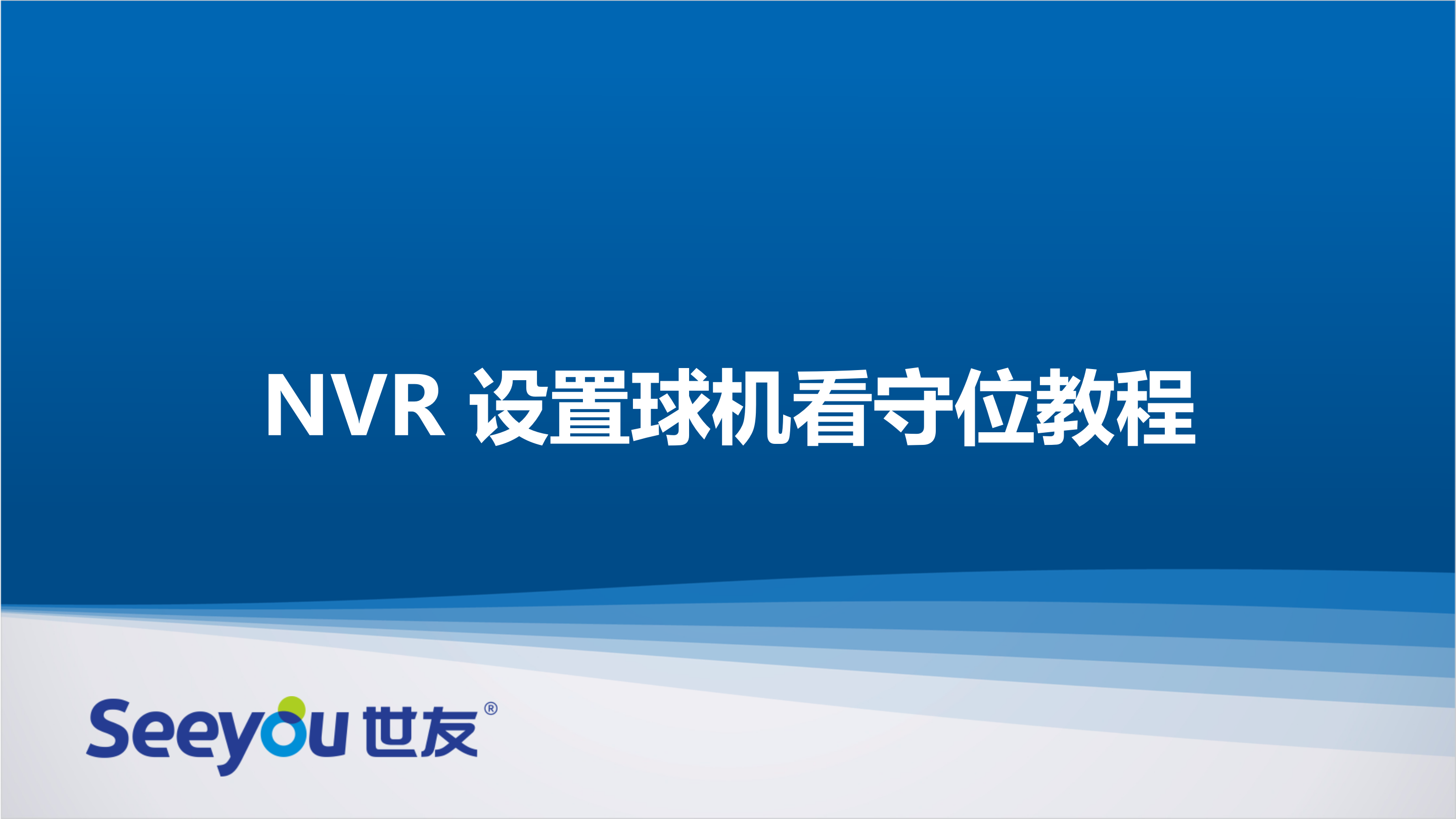 世友NT NVR設置球機看守位教程